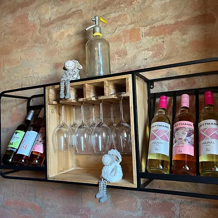 Barik Chill House Boutique Vendeghaz *