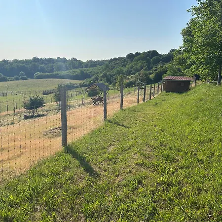 דירה Barik Chill House Boutique Vendeghaz *