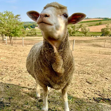 Barik Chill House Boutique Vendeghaz דירה Szalatnak