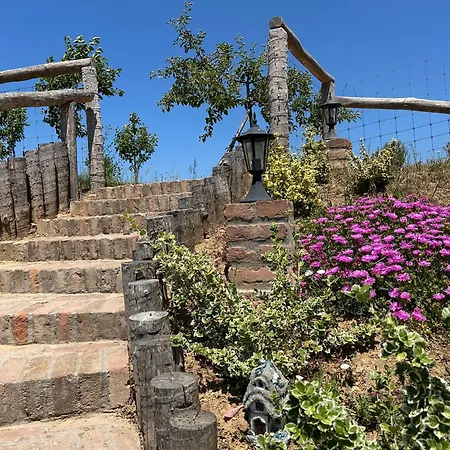 Barik Chill House Boutique Vendeghaz