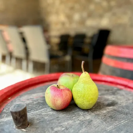 Barik Chill House Boutique Vendeghaz