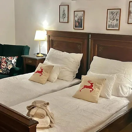 Barik Chill House Boutique Vendeghaz Апартаменты Szalatnak