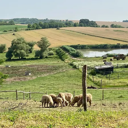 Barik Chill House Boutique Vendeghaz