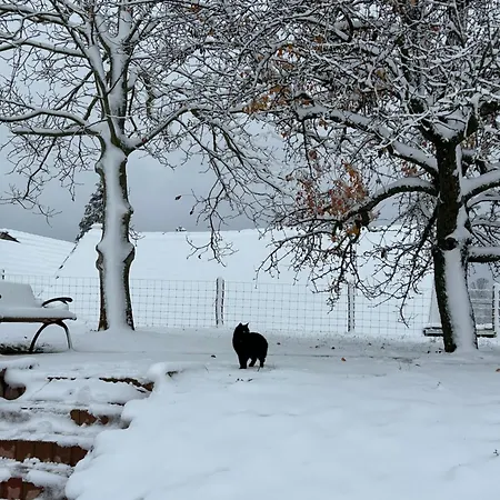 Barik Chill House Boutique Vendeghaz Szalatnak